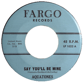 Aquatones - Say You'll Be Mine Stock