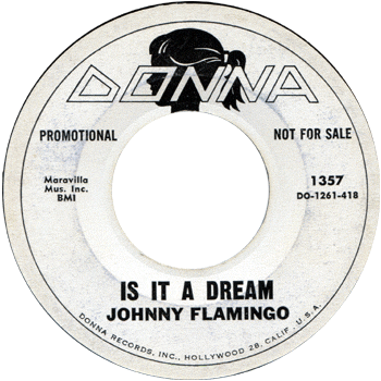 Johnny Flamingo-Is It A Dream -Donna