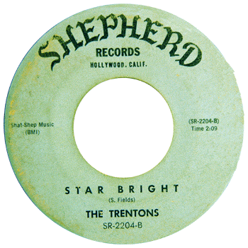 Trentons - Star Bright Shepherd