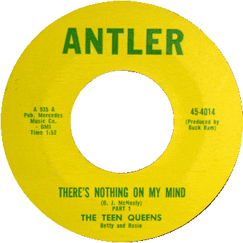 Teen Queens - There's Nothing On My Mind 1 Antler