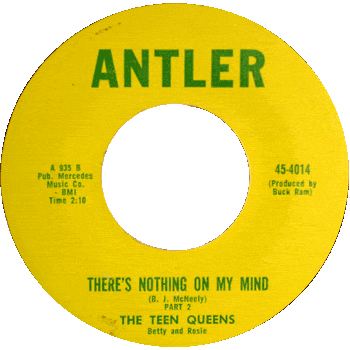 Teen Queens - There's Nothing On My Mind 2 Antler