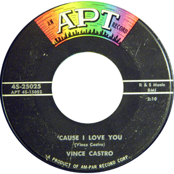 Vince Castro - Cause I Love You Apt Stock